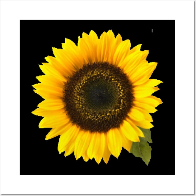 Sunflower Wall Art by dodgerfl